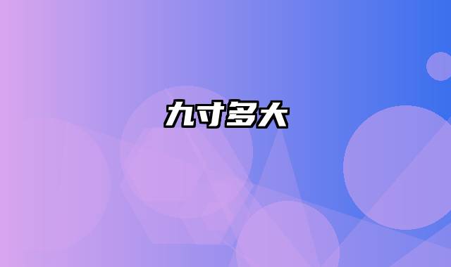 九寸多大