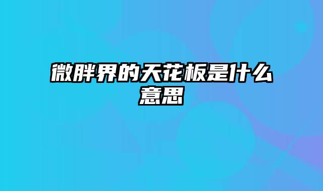 微胖界的天花板是什么意思