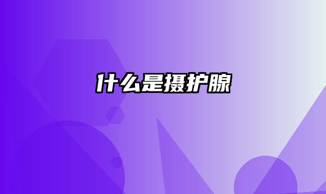 什么是摄护腺