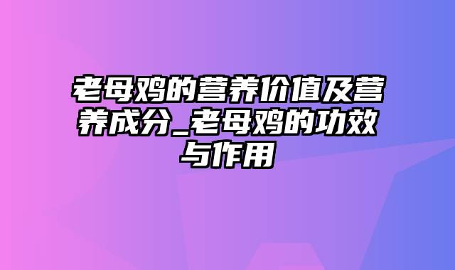 老母鸡的营养价值及营养成分_老母鸡的功效与作用