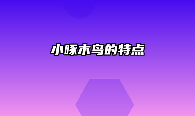 小啄木鸟的特点