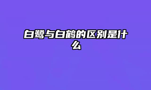 白鹭与白鹤的区别是什么