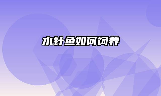 水针鱼如何饲养