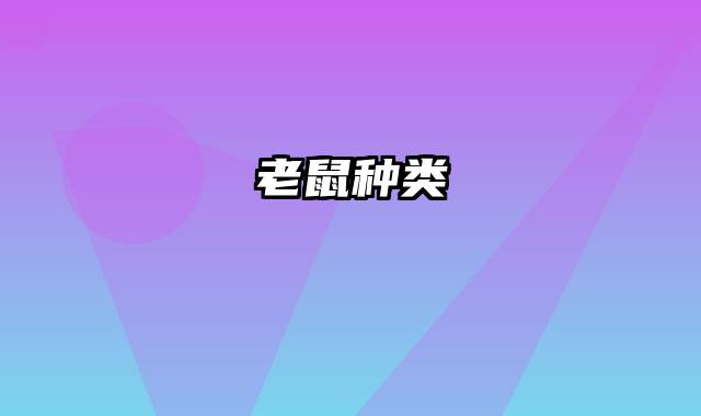 老鼠种类