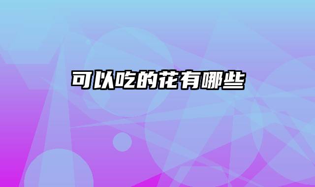 可以吃的花有哪些