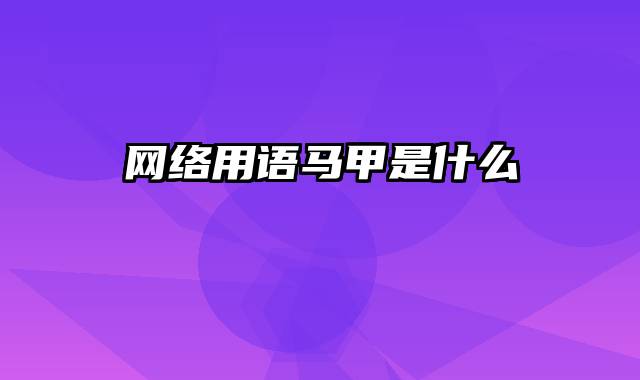 网络用语马甲是什么