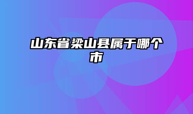 山东省梁山县属于哪个市