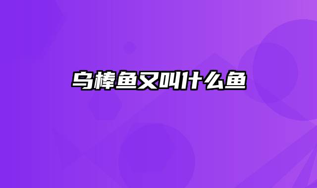 乌棒鱼又叫什么鱼