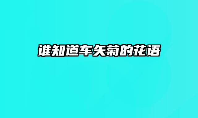 谁知道车矢菊的花语