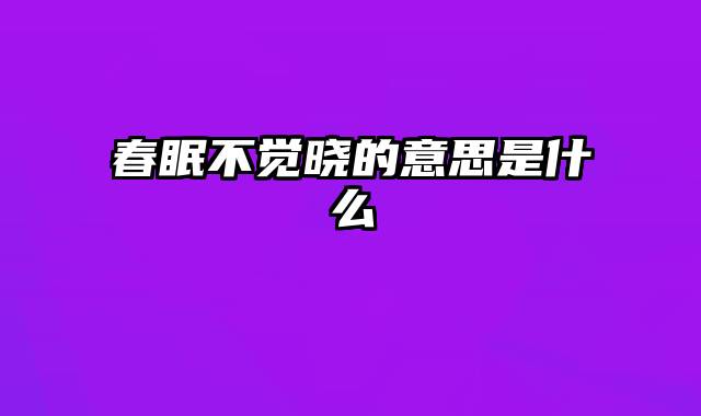 春眠不觉晓的意思是什么