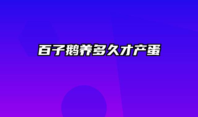百子鹅养多久才产蛋