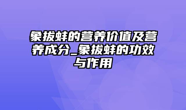 象拔蚌的营养价值及营养成分_象拔蚌的功效与作用