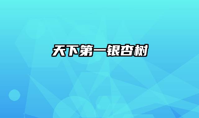 天下第一银杏树
