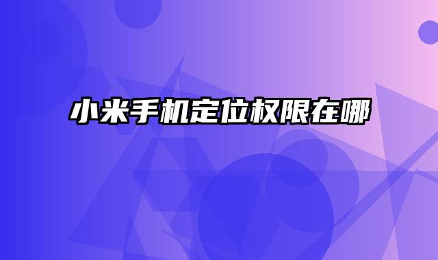 小米手机定位权限在哪