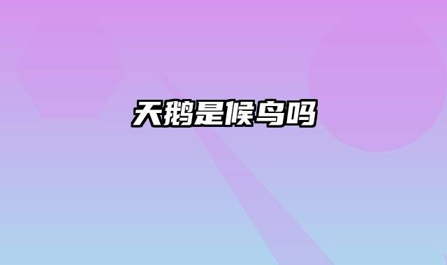 天鹅是候鸟吗