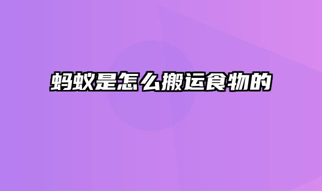 蚂蚁是怎么搬运食物的