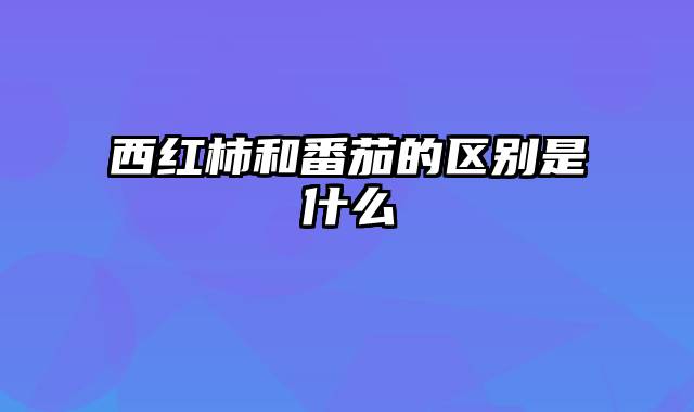 西红柿和番茄的区别是什么