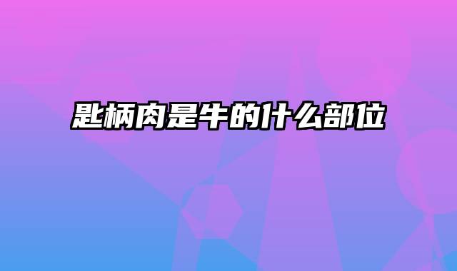 匙柄肉是牛的什么部位