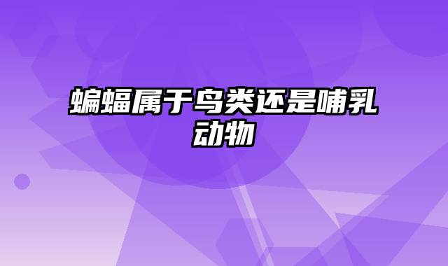 蝙蝠属于鸟类还是哺乳动物