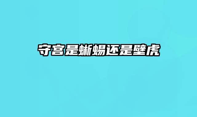 守宫是蜥蜴还是壁虎