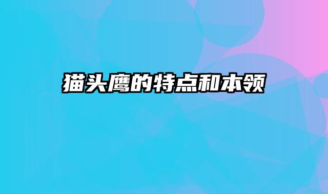 猫头鹰的特点和本领