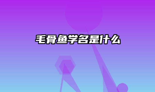 毛骨鱼学名是什么