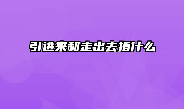 引进来和走出去指什么