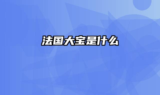 法国大宝是什么