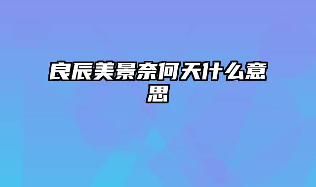 良辰美景奈何天什么意思