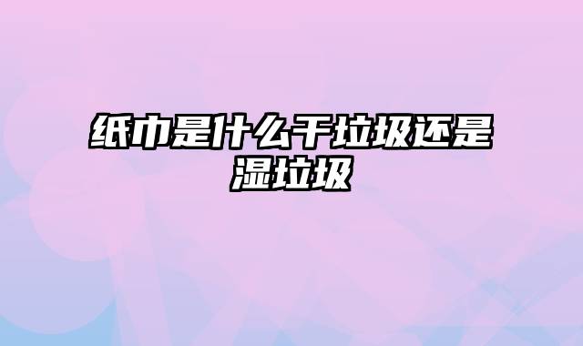 纸巾是什么干垃圾还是湿垃圾