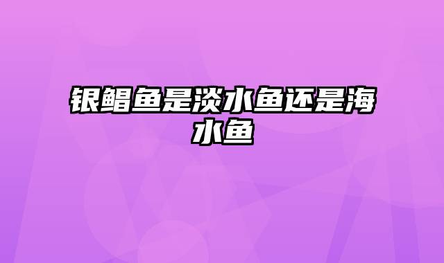 银鲳鱼是淡水鱼还是海水鱼
