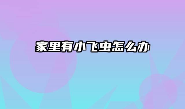 家里有小飞虫怎么办