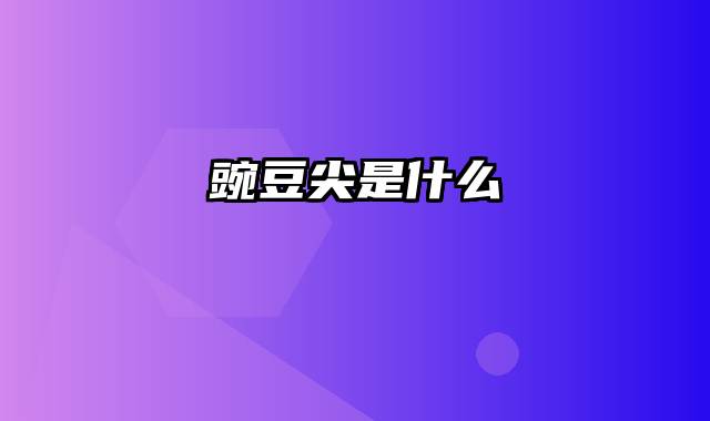 豌豆尖是什么