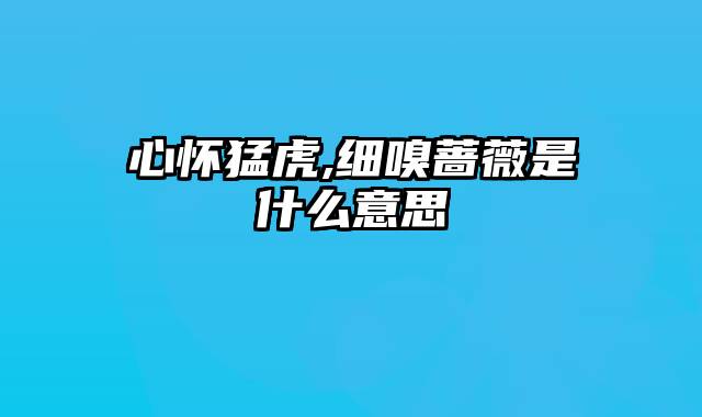 心怀猛虎,细嗅蔷薇是什么意思