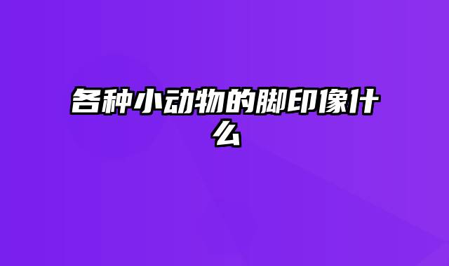 各种小动物的脚印像什么