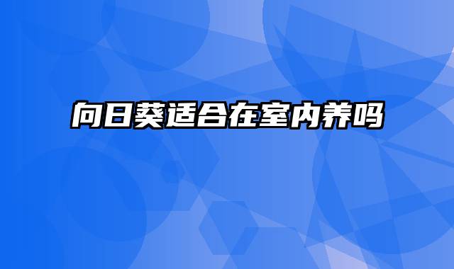 向日葵适合在室内养吗