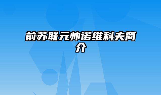 前苏联元帅诺维科夫简介