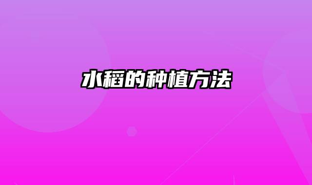 水稻的种植方法