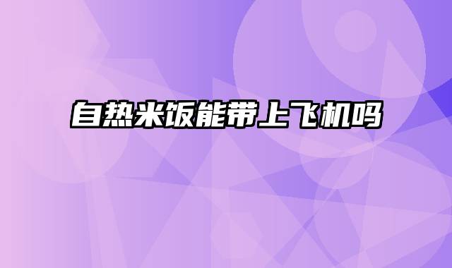 自热米饭能带上飞机吗