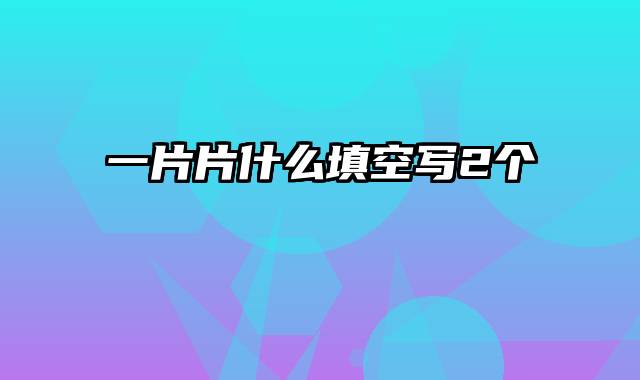 一片片什么填空写2个