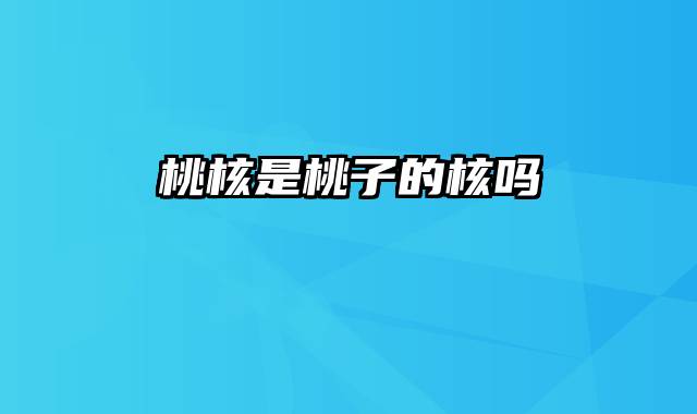 桃核是桃子的核吗