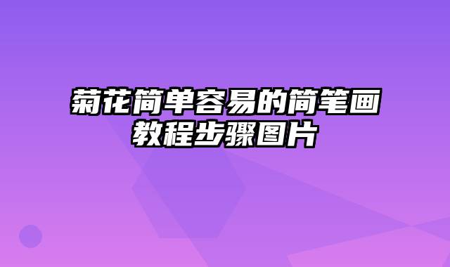 菊花简单容易的简笔画教程步骤图片