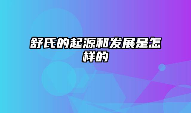 舒氏的起源和发展是怎样的