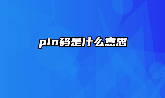 pin码是什么意思