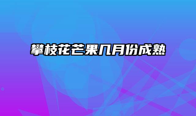 攀枝花芒果几月份成熟