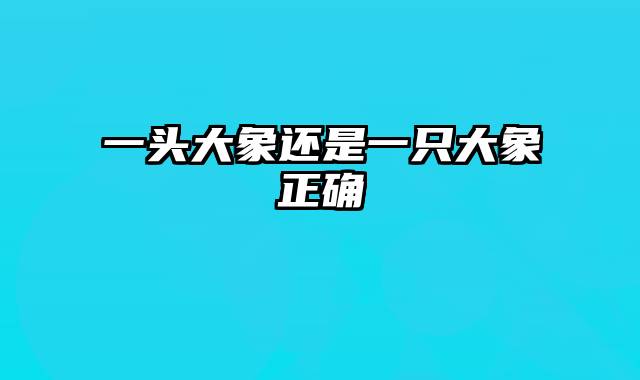 一头大象还是一只大象正确
