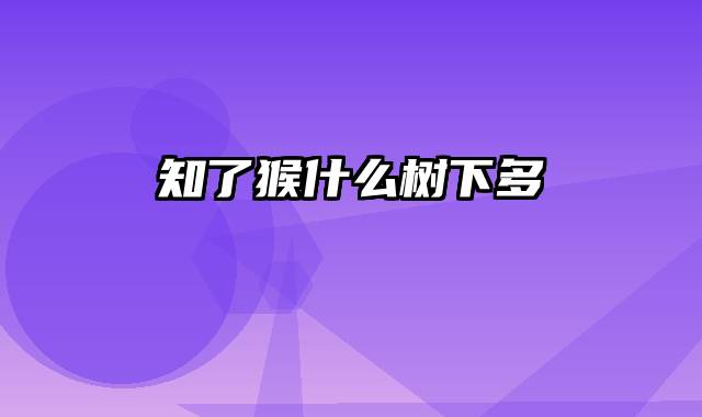 知了猴什么树下多