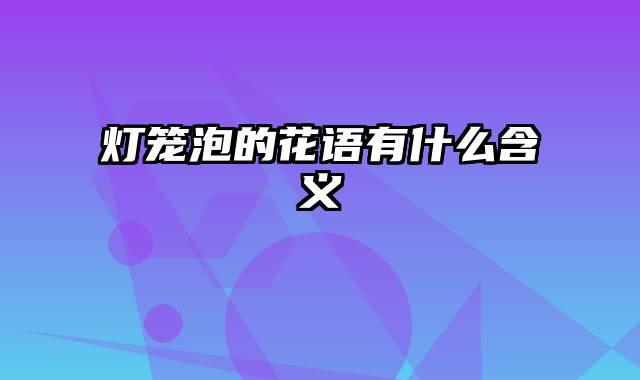 灯笼泡的花语有什么含义