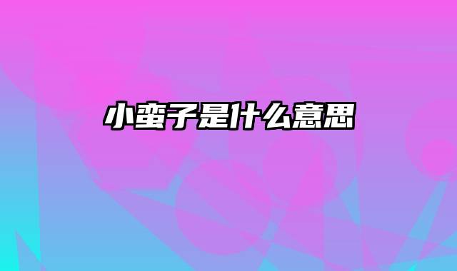 小蛮子是什么意思