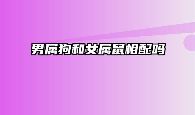 男属狗和女属鼠相配吗